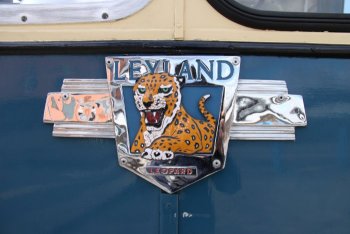 Leopard Badge