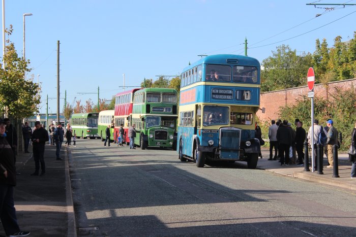 Buses