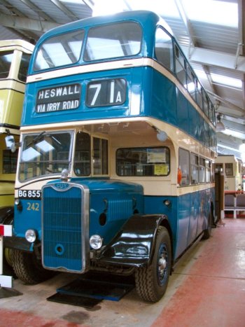 bus